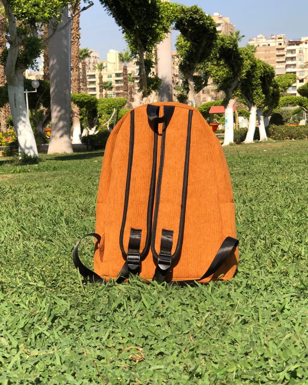 Havan Velvet Backpack